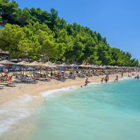 Arcadia * Ποντστράνα